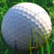 Golf Ball