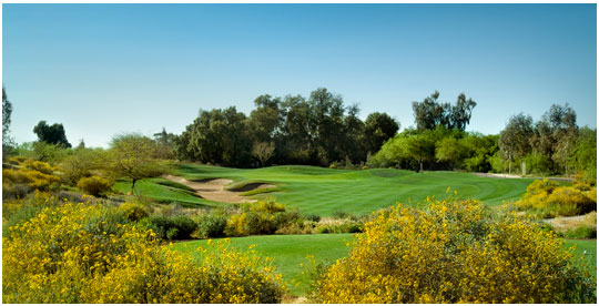 The Legacy Golf Resort